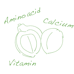 アミノ酸・カルシウム・ビタミンDなどが豊富！